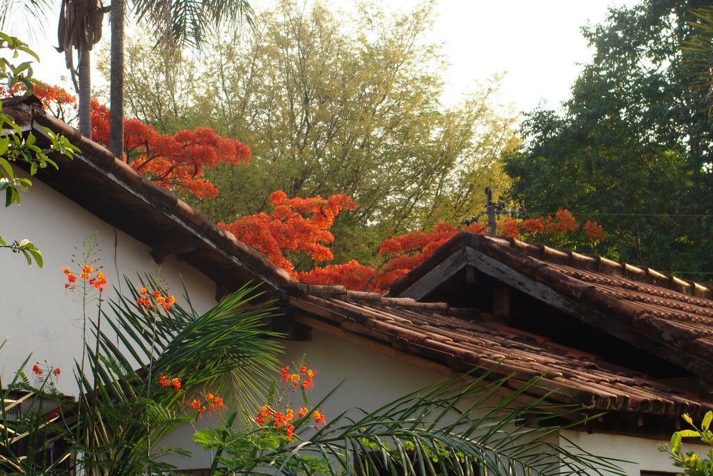 Roofs over Córrego da Lagoa by osvaldoeaf