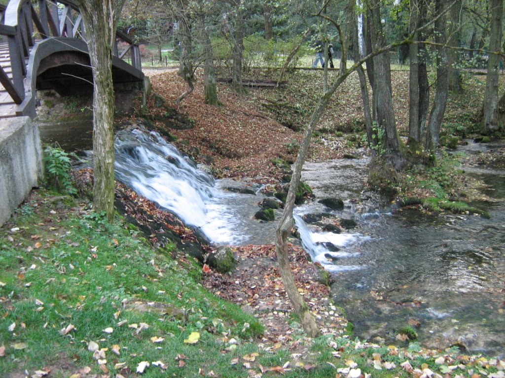 Vrelo bosne by little_fish