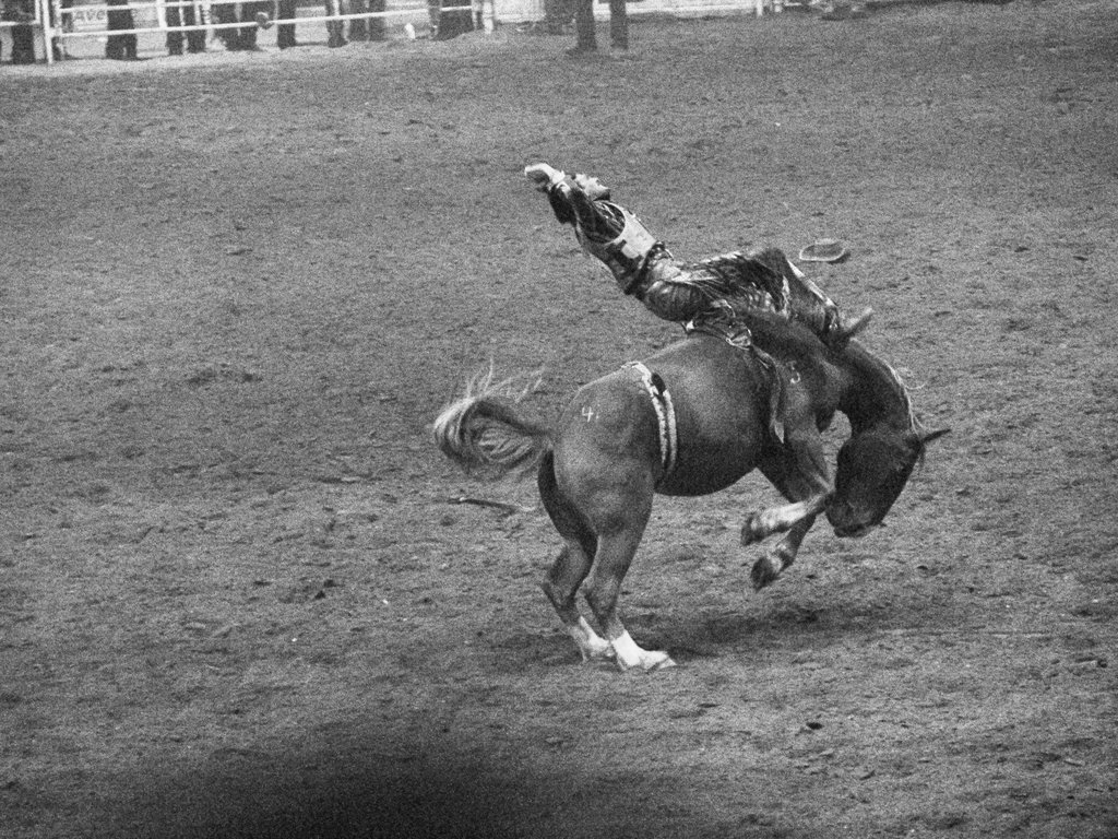 Wheat City Stampede 2008 by NicolasGaube