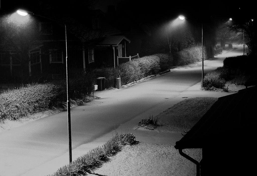 The night the snow came. by Lars-Erik Franson