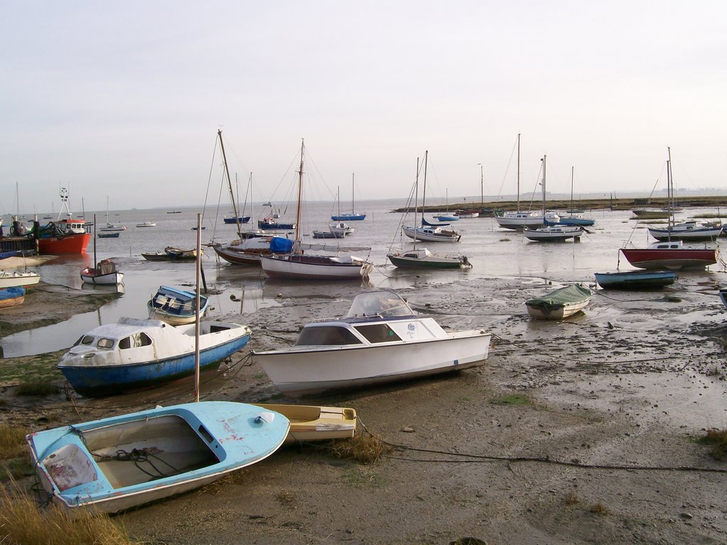 Boats by elregem