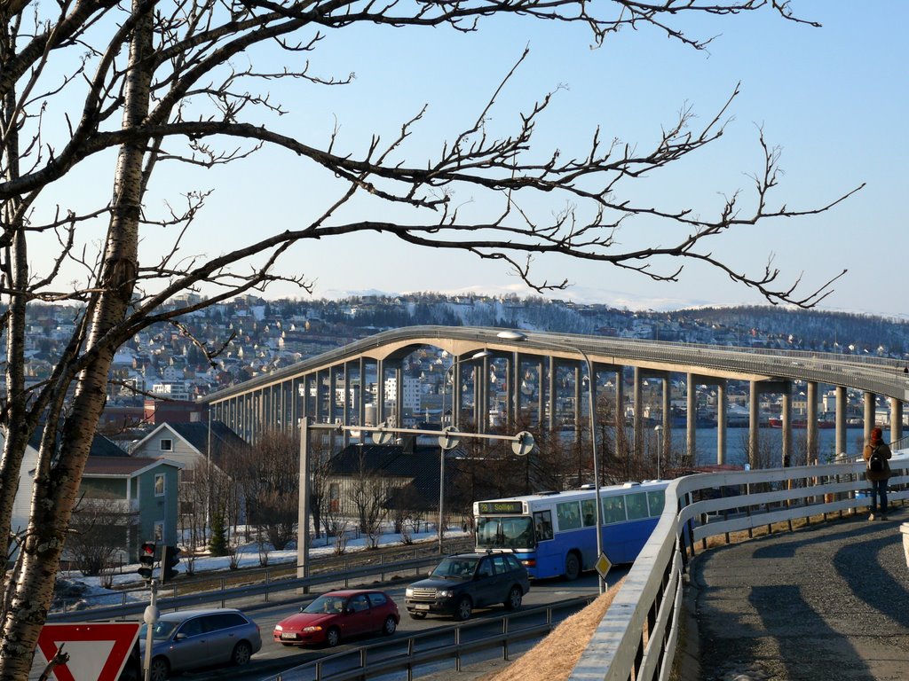 Bridge & tree by valentin_orlov