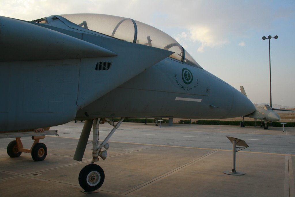 Eagle nose to nose with Tornado by massu