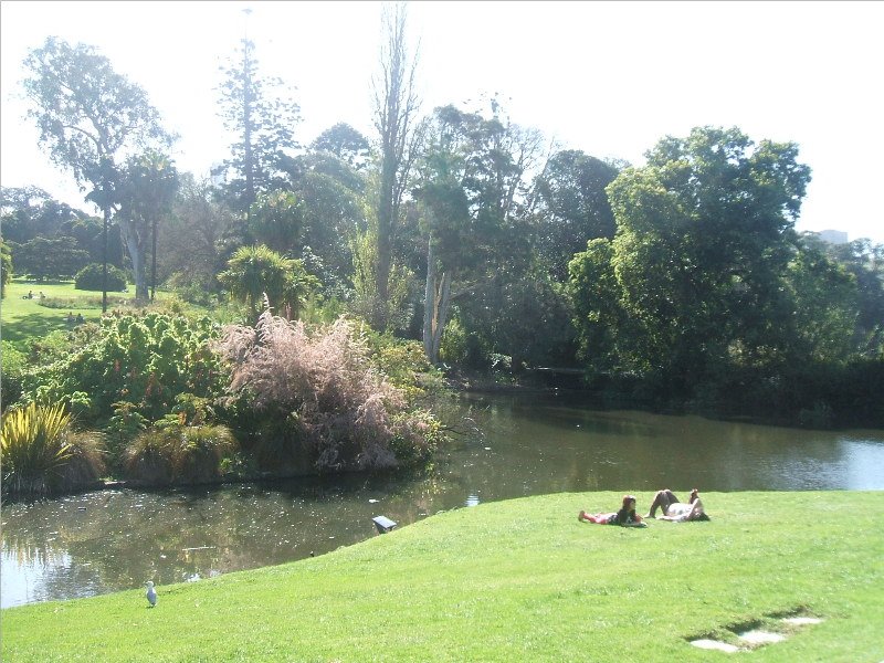 Botanic Gardens lake by David Marsh