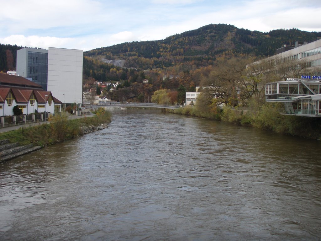 River Mur (Leoben) by Snecer