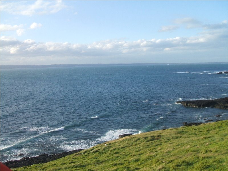 View from the Nobbies, Phillip Island by David Marsh