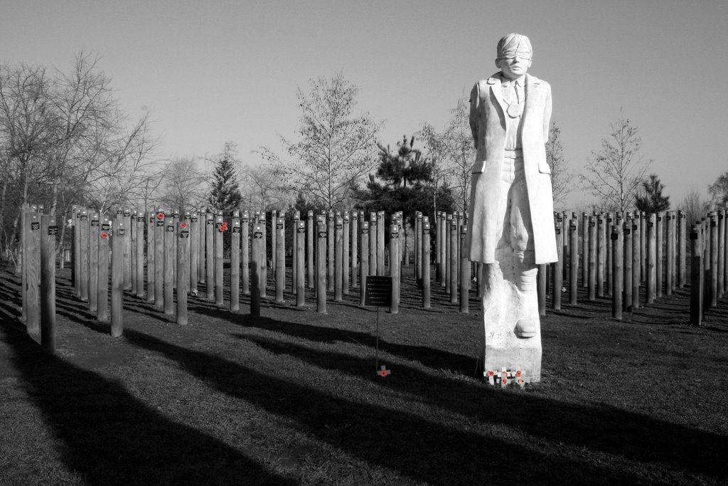 Poppies by MickFinch