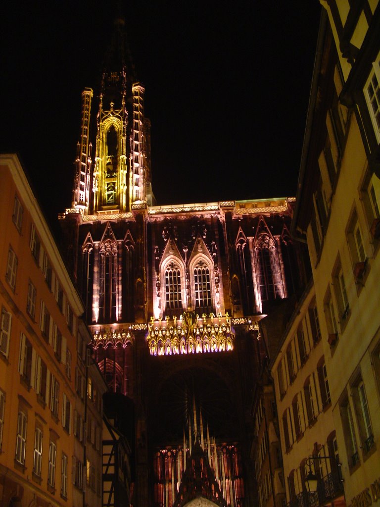 Illumination de la Cathédrale de Strasbourg by declic67