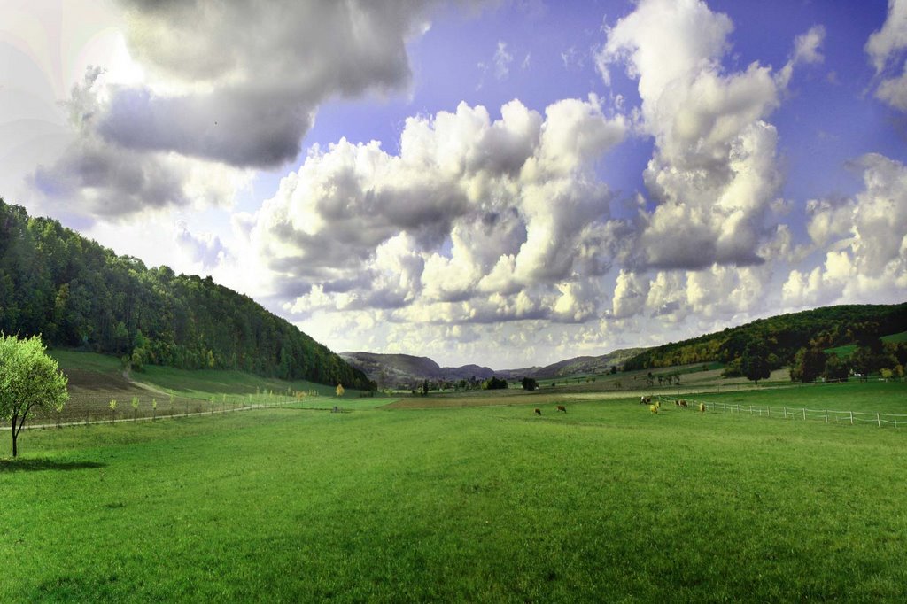 Das Netratal; fotografiert aus 37296 Ringgau Rittmannshausen by Dorothea Krug