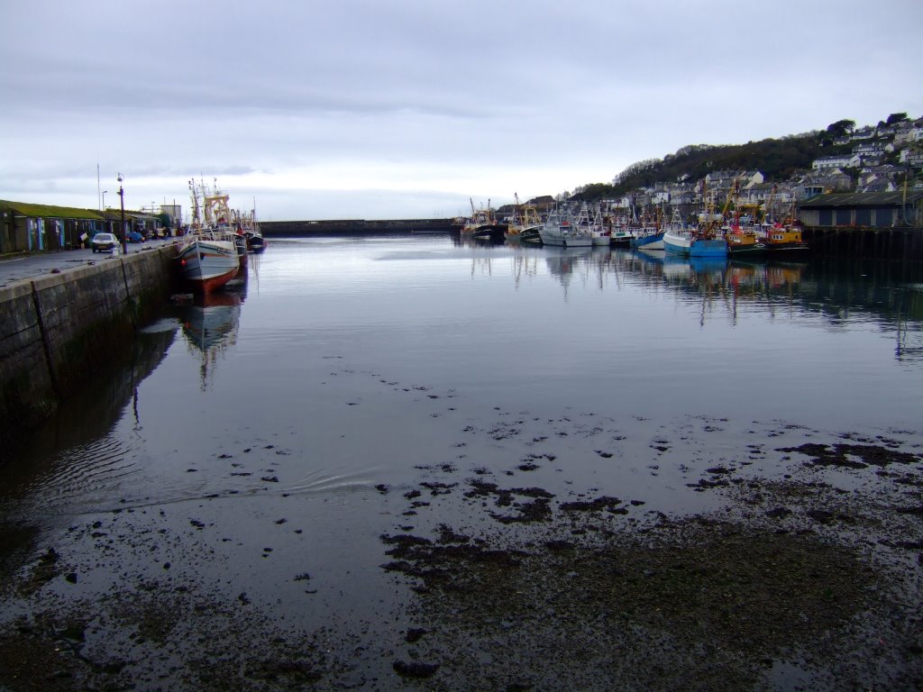 Newlyn Harbour by rayok