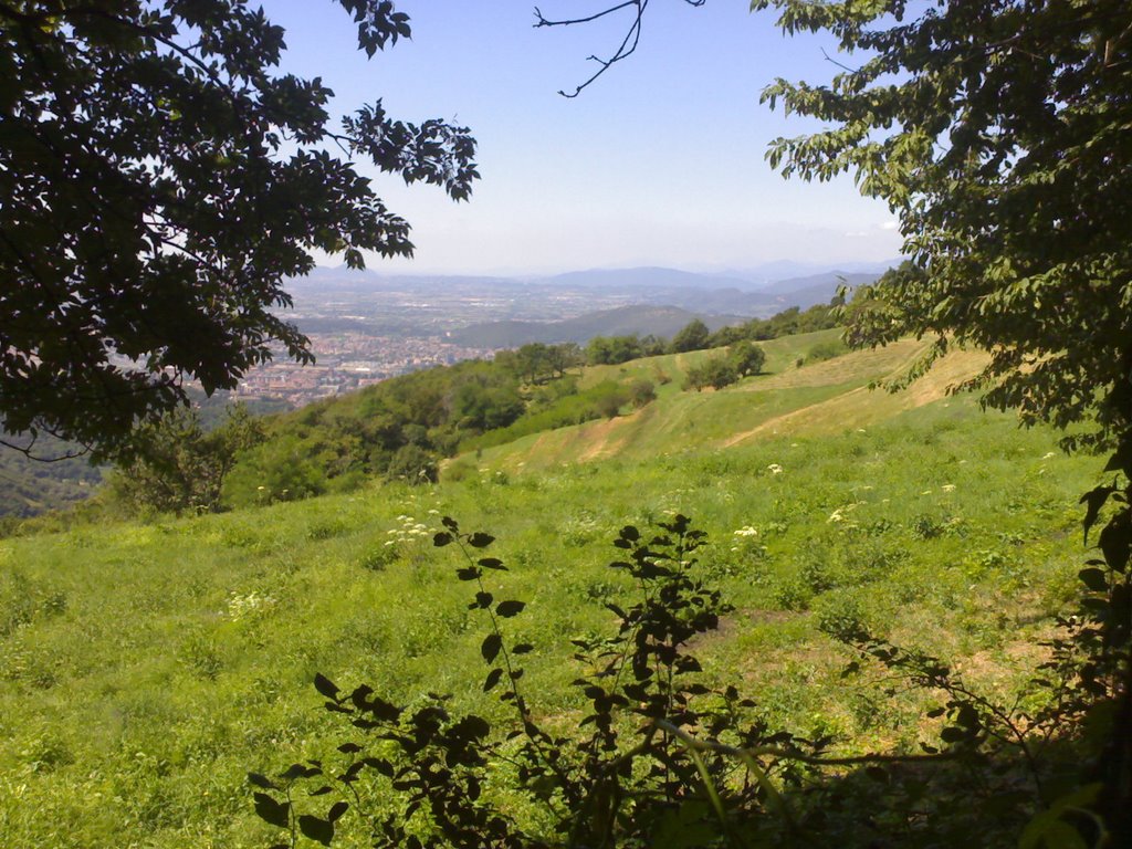 Panorama da cascina margherita by malakjin