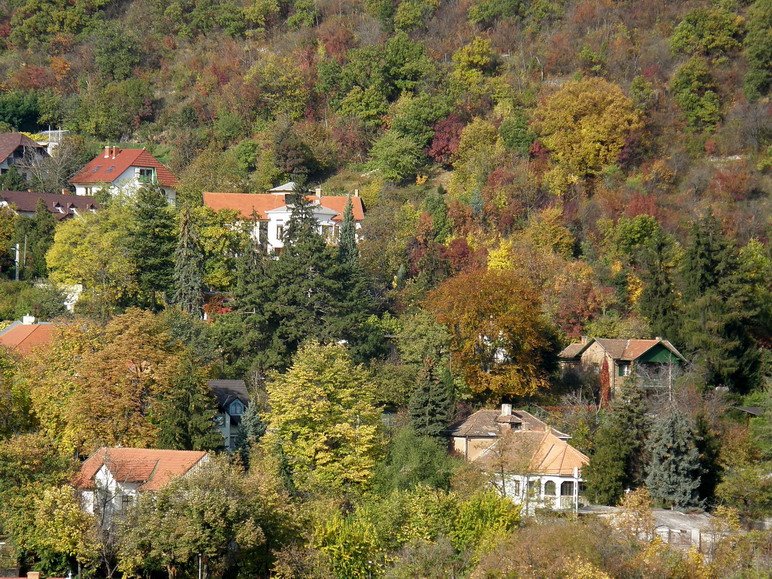 Ősz a Mecsek oldalban by Zoltan Molnar