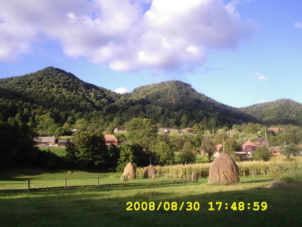 PIATRA TISIEULUI SI PLOCOANA VAZUTE DIN LUNCA by ANDOR ALIN