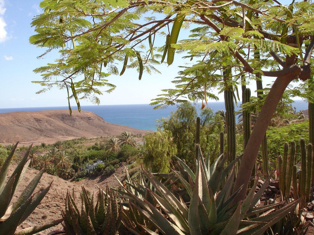 Oasis Park, Lajita, Fuerteventura by marina.ie