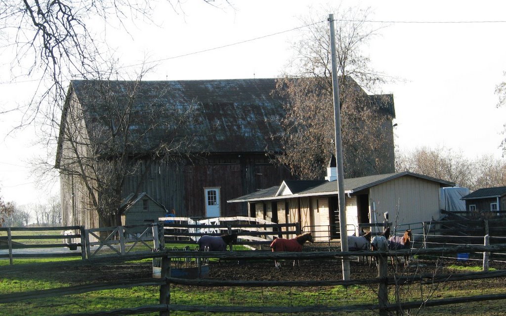 Leslie Street Barn 1 by porfer