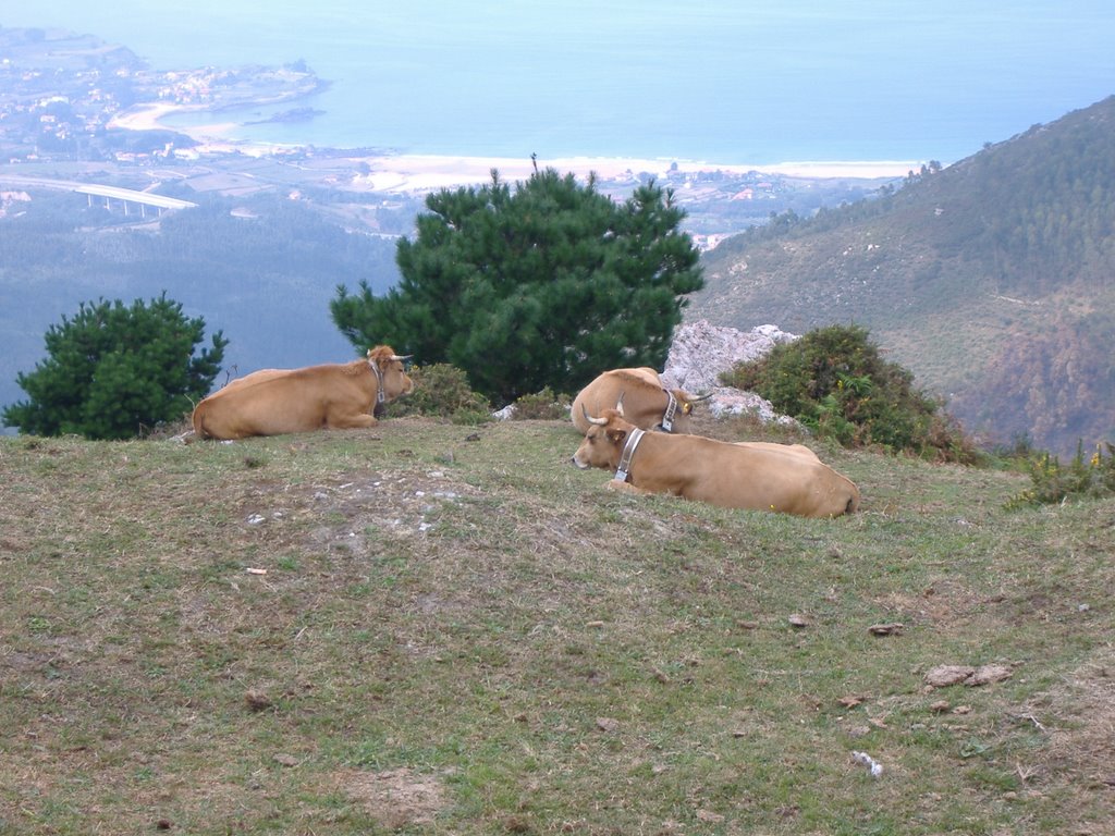 Mirador de fito by maria valero