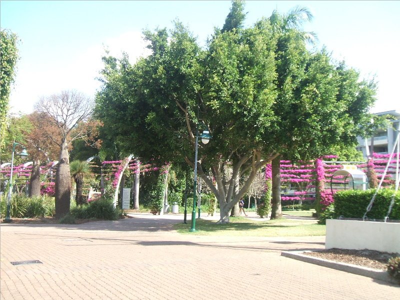 South Bank towards the Arbour by David Marsh