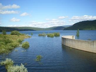 Pantano by Igtorres