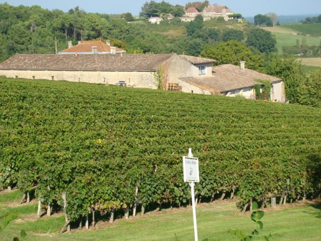 View of Chateau Robin by chateaurobin