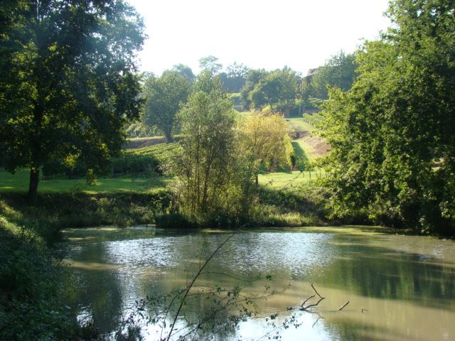 The "lake" of Chateau Robin by chateaurobin