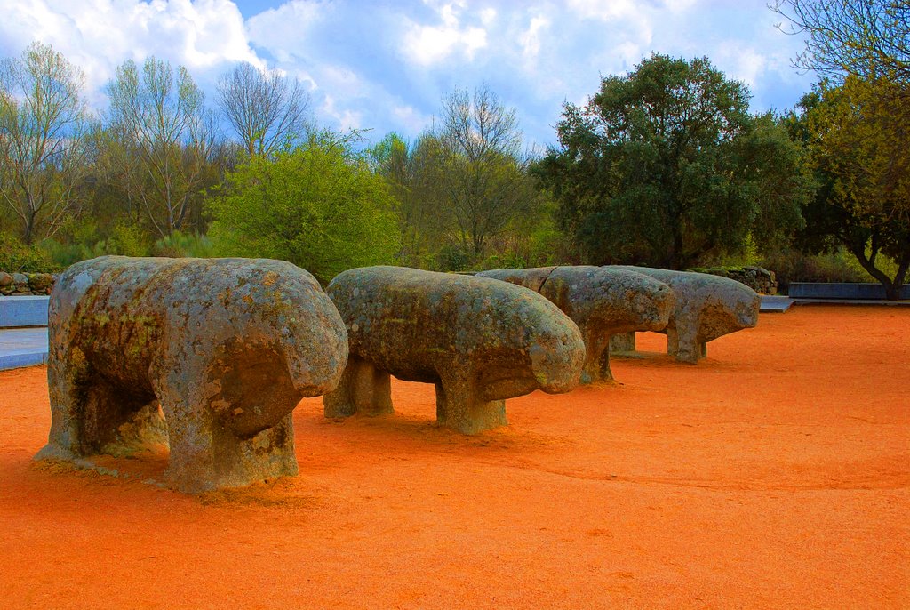 Toros de Guisando by Enrique FM