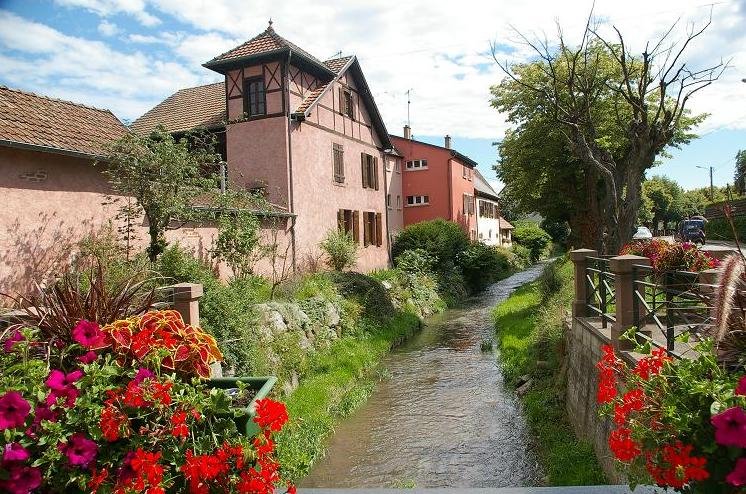 Ruisseau à Soultz, Alsace France by OCAMPO Edgar