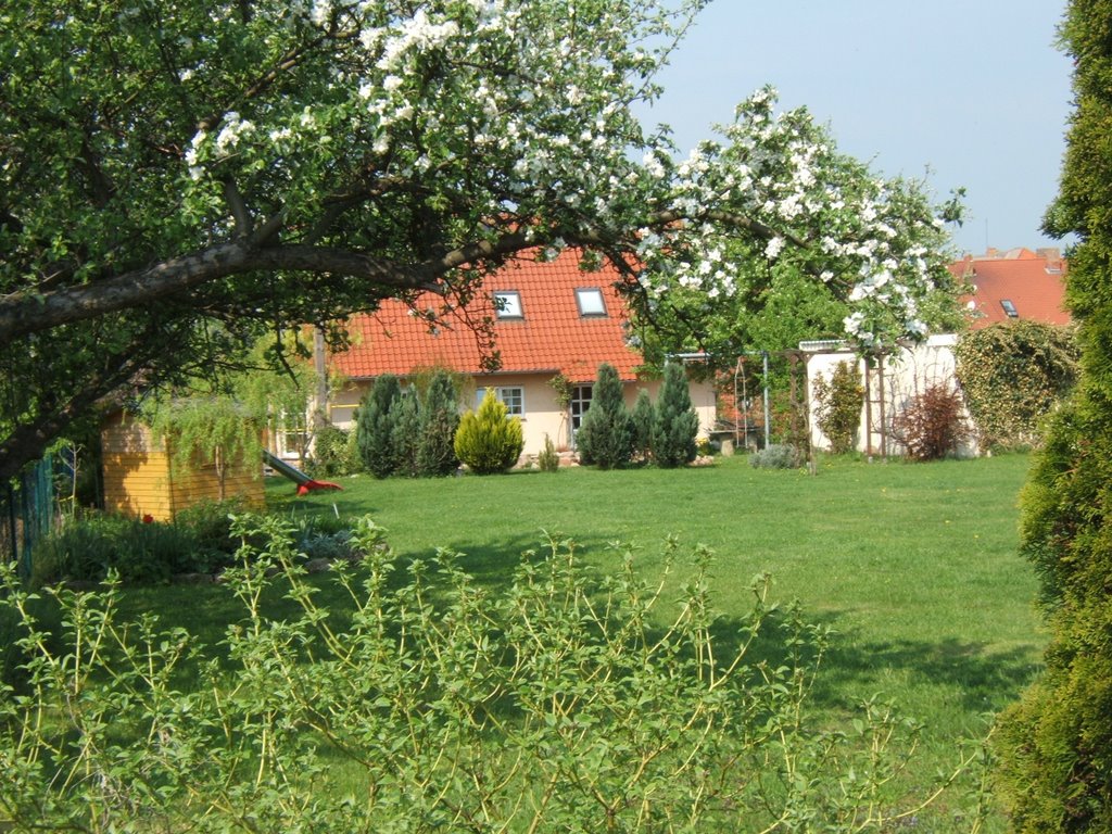 Anderbeck - Haus im Grünen by +wewe+