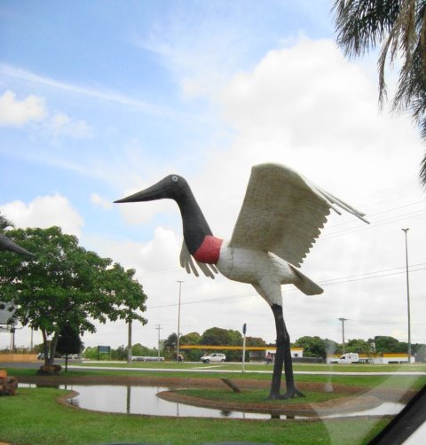 Tuiuiú no jardim em frente ao Aeroporto Internacional de Campo Grande by GlebuC