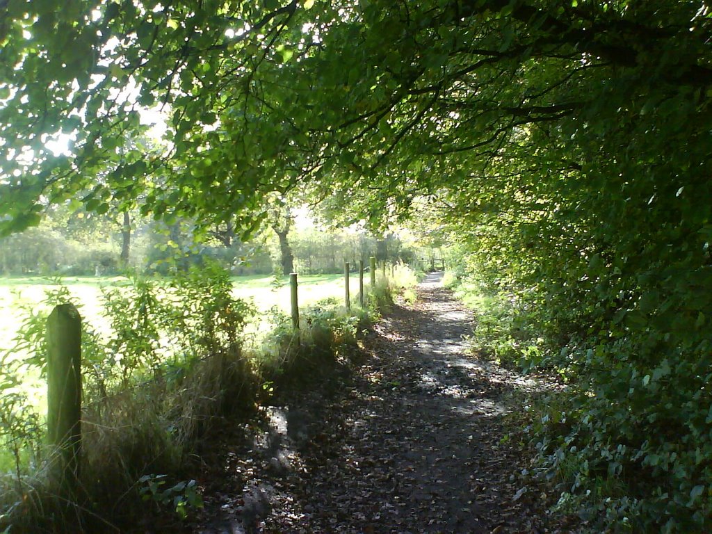 Path on the Edge by Martin Chadderton