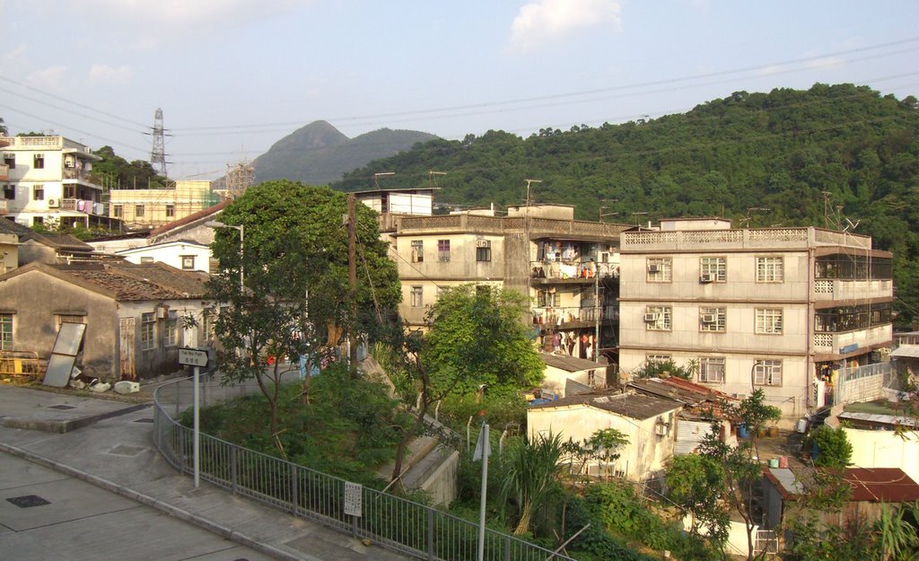 Shing Mun Wo Yi Hop Village by Ricky Xblue