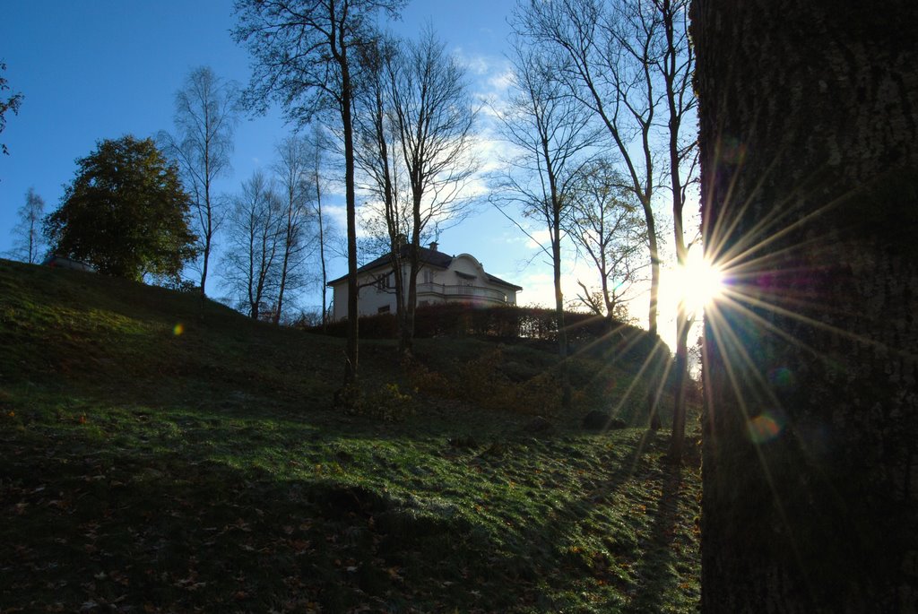 November sun at Kristianborgsvannet by Jan Hasselberg