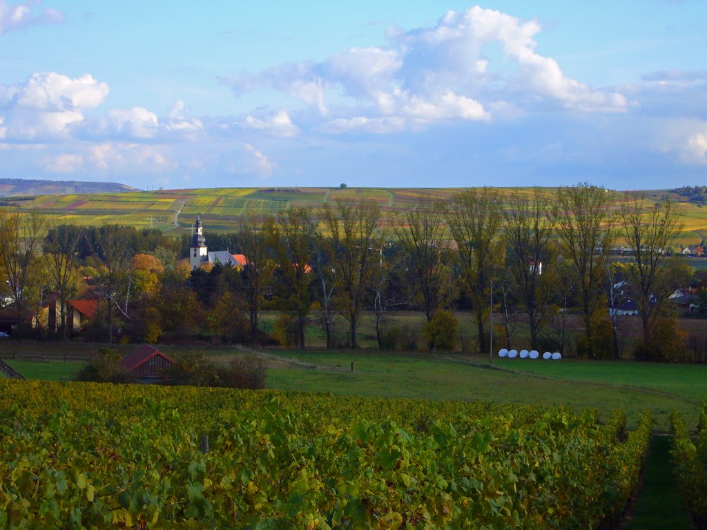 Weinberge und kath. Kirche by Stefan Jung