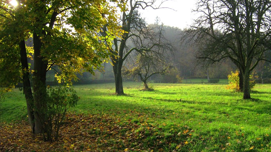 Beim Bibelheim Bethanien by rojo0001