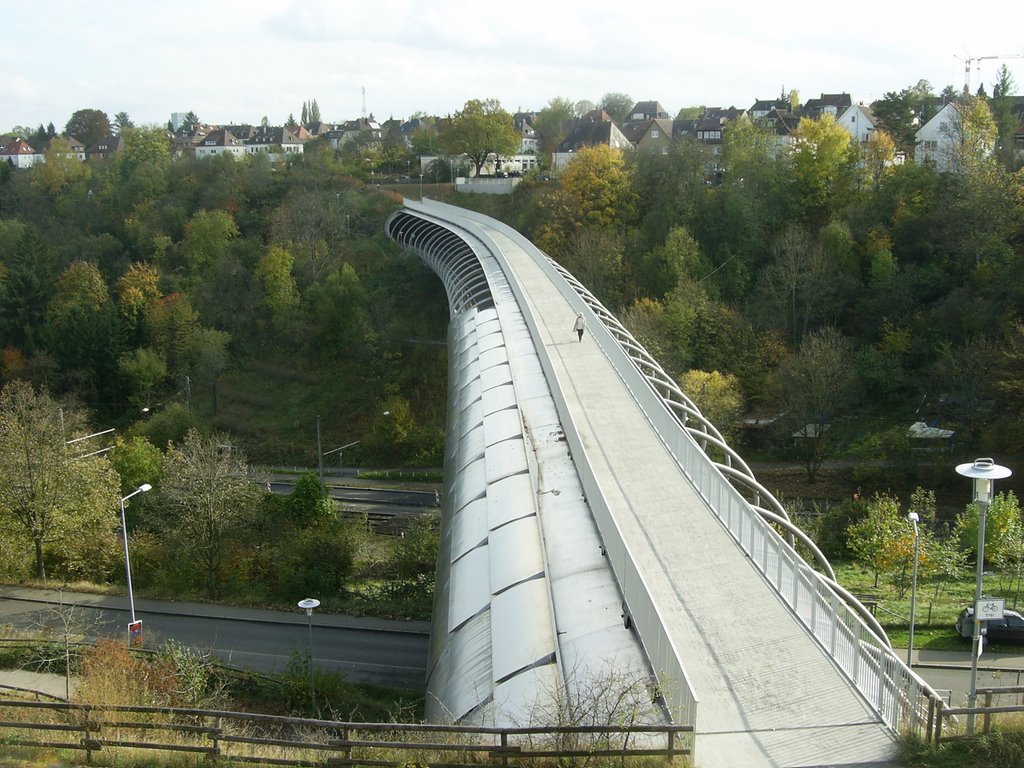 Blick von der Paradiesstrasse über die "Kaltentaler Abfahrt" (Nord-Süd-Strasse) Richtung Schädleweg by Trollinger