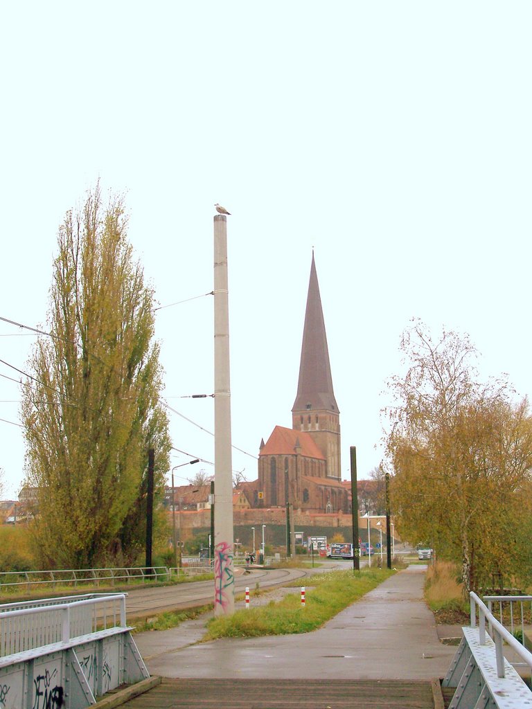 Petrikirche by Andreas Kröppelien Eventphotographie