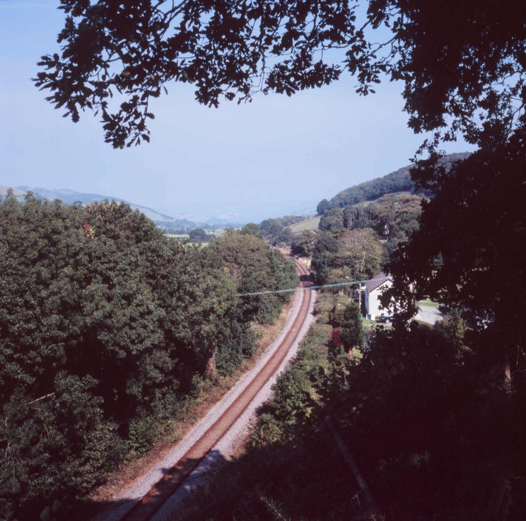 Cambrian Railway by Matthew Winn