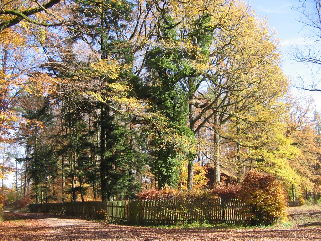 By Werner Rathai - Jagdhütte König Wilhelm II im Naturpark Schönbuch by WEOSRA