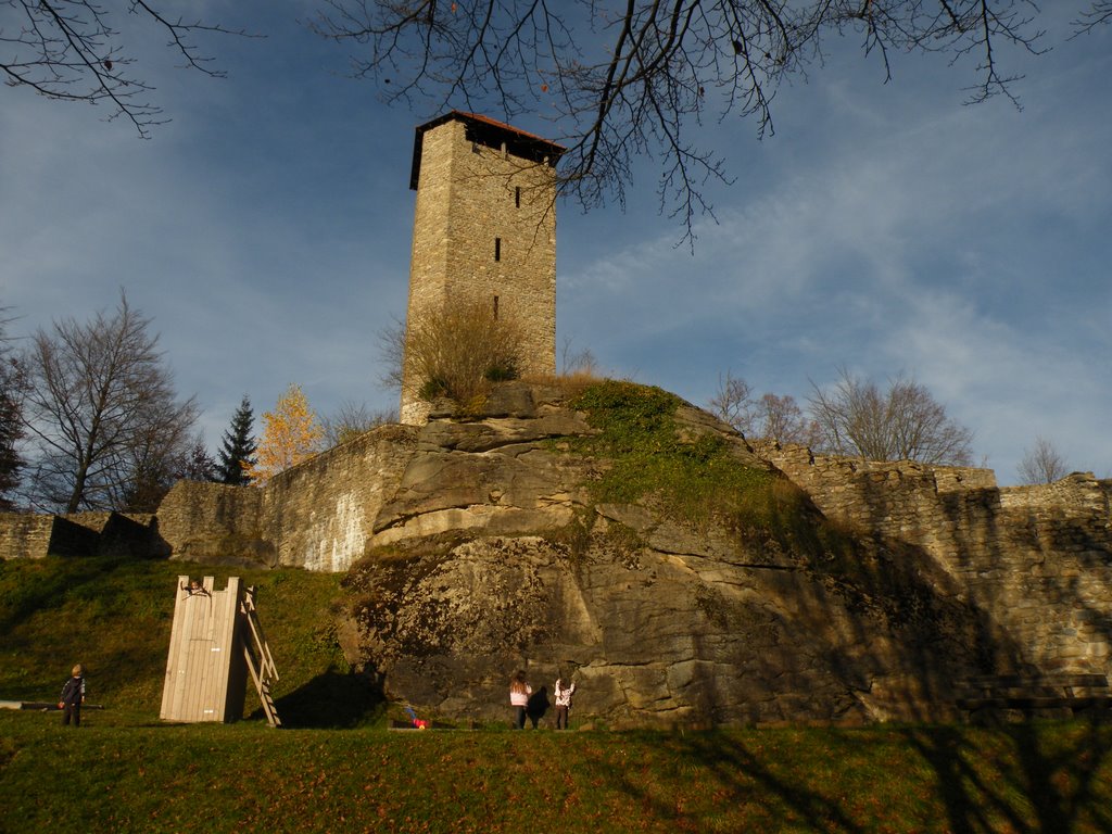 Ruine Altnußberg by trustler