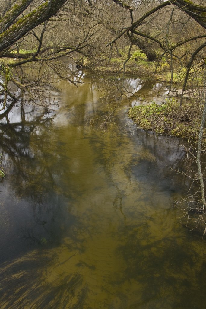 Istya river, Nov-2008 by Andrey Zakharov