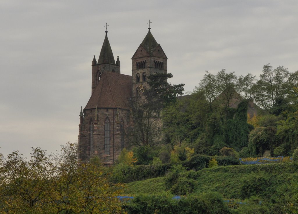 St. Stephansmünster by manfred58