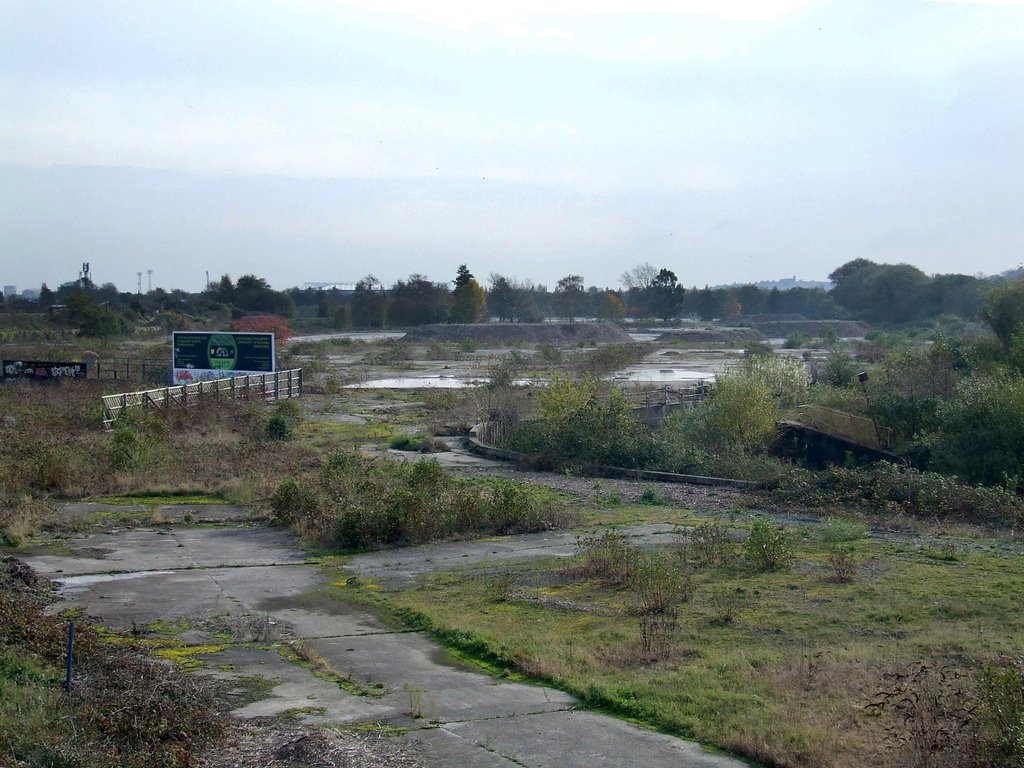 Ely Paper Mill Site by AndrewDRees