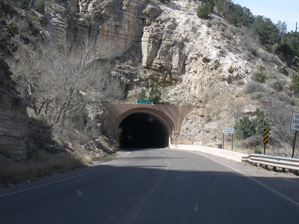 Going west into tunnel by MAL10587