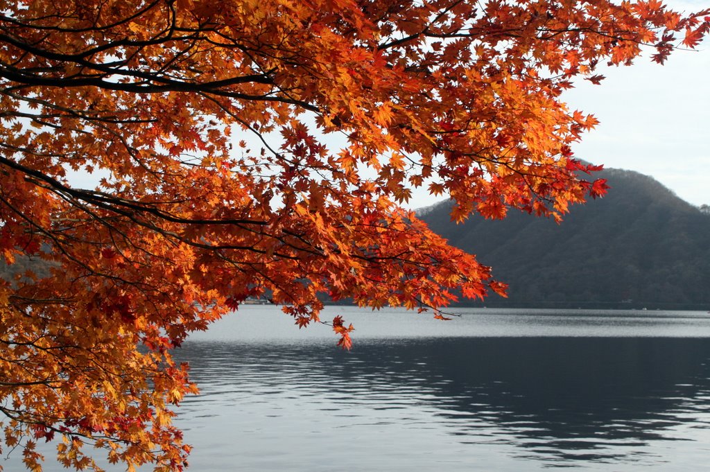 Haruna lake(榛名湖） by takotako