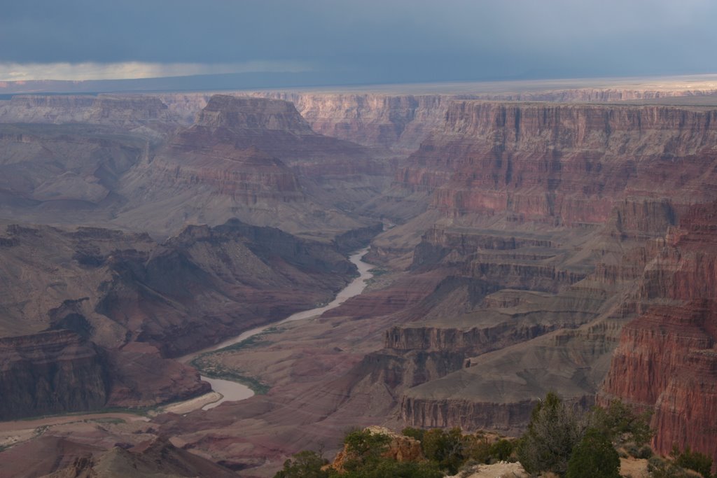 South Rim View by Warren Scoggin