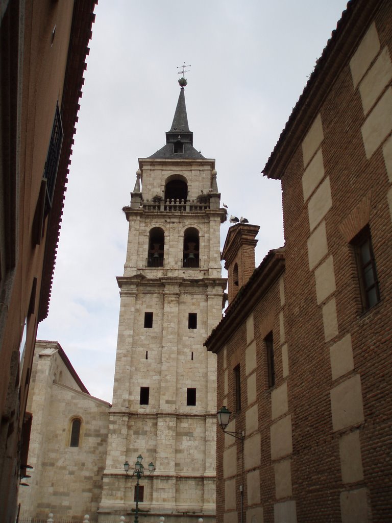 Torre de catedral by Luis David