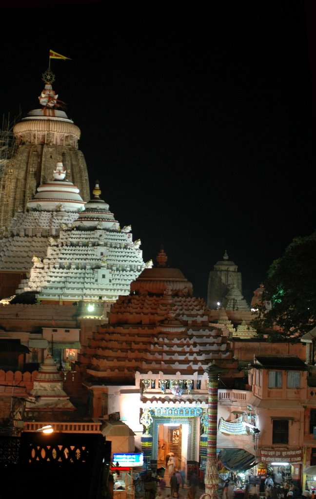 Jagannatha temple in Puri by Albert Egazarov