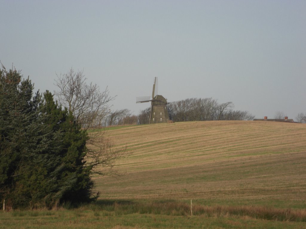 Windmühle bei Hundborg by selli