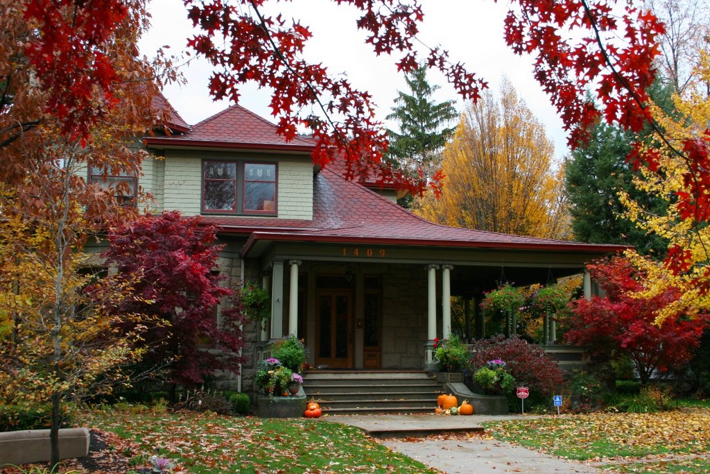 Scarlet splendor for Halloween. by Barb Olmstead