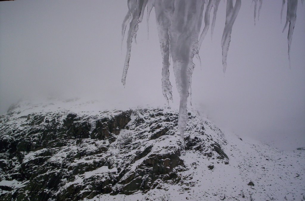 Dal Rifugio Elena in Val Ferret by carlo albonico