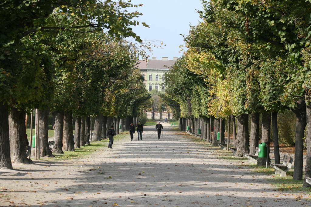 Augarten by marecz